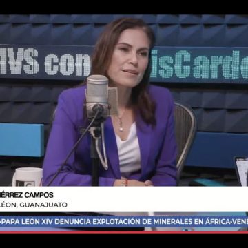 Alejandra Gutiérrez Campos dejó Acción Nacional