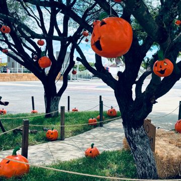 #Agenda Festival de Calabazas 2026 
