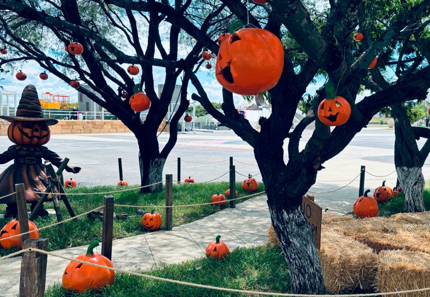 #Agenda Festival de Calabazas 2026 